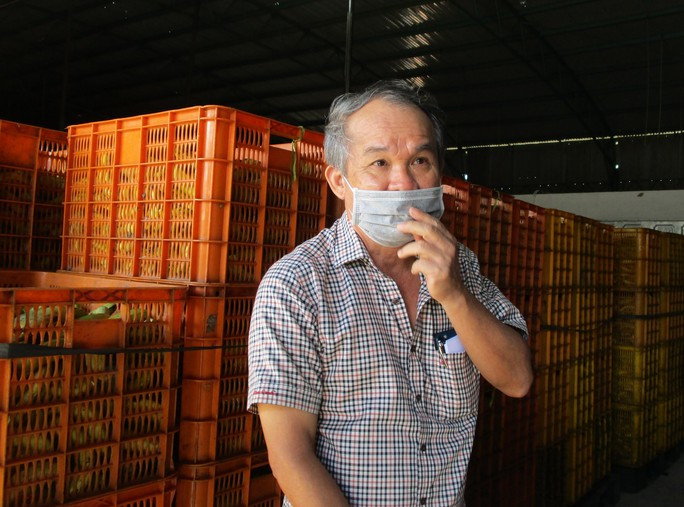 Do trồng chuyên canh, diện tích lớn nên HAGL có đội ngũ chuyên môn để chăm sóc, bảo đảm cho vườn xanh tốt, trái chín chất lượng. Ảnh: Người lao động