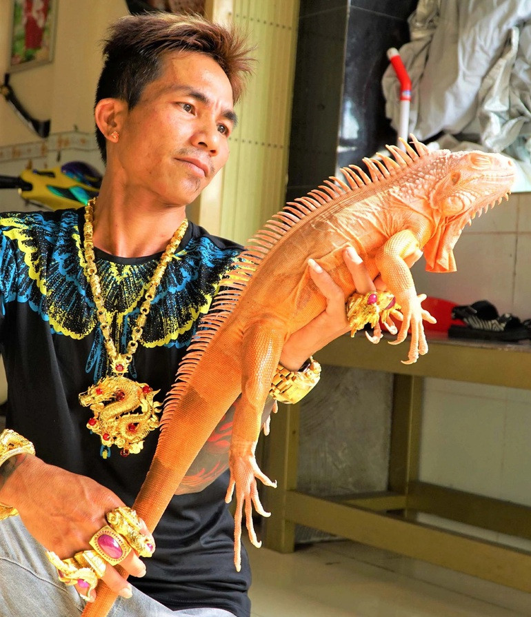 Khi mua về, con giống sẽ có kích thước rất nhỏ, giá từ 100 triệu đến 200 triệu đồng/con. Tuy nhiên đến lúc bán giá trị lại gấp hàng chục lần. Ảnh: Dân trí