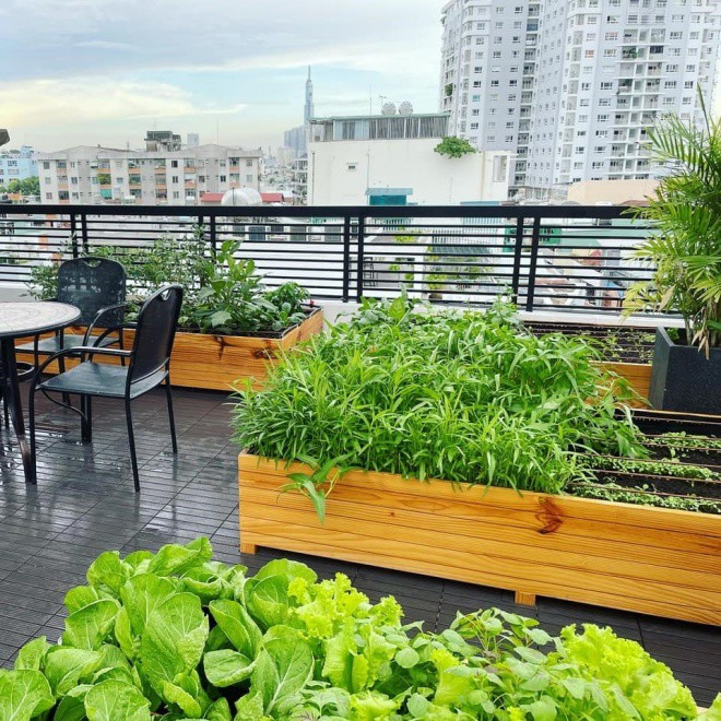 Bắt đầu từ tháng 3/2021, nam ca sĩ bắt đầu trồng rau và lắp hệ thống tưới nước tự động.