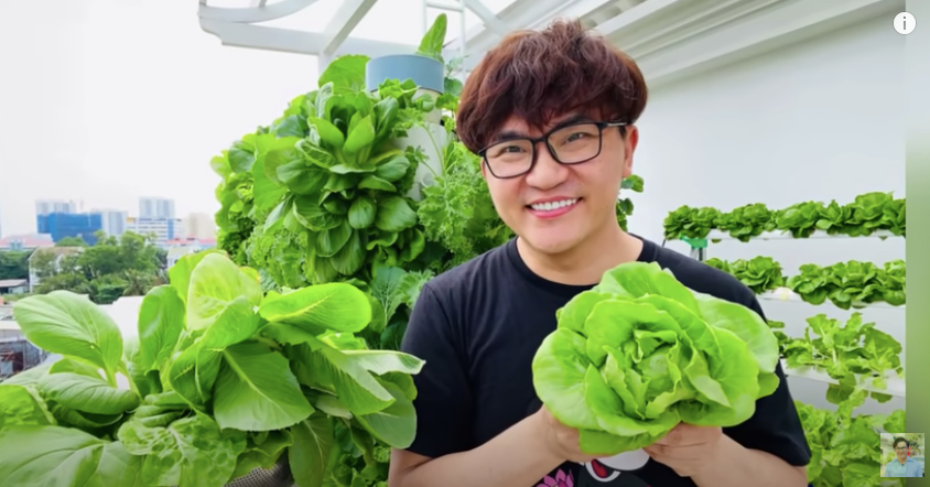 Trồng rau trên sân thượng là thú vui của MC Đại Nghĩa những lúc rảnh rỗi.