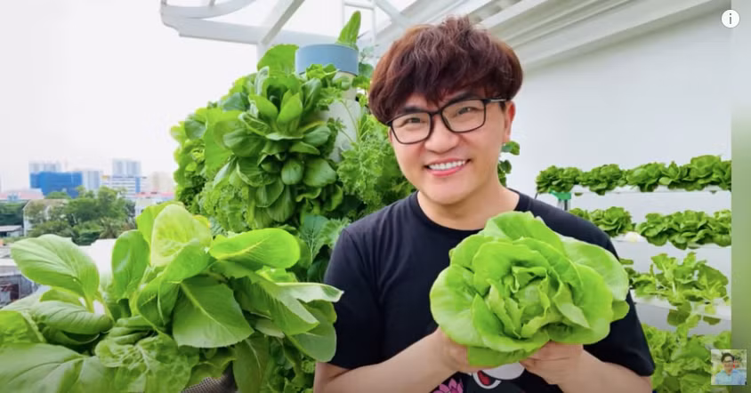 Trồng rau trên sân thượng là thú vui của MC Đại Nghĩa những lúc rảnh rỗi.