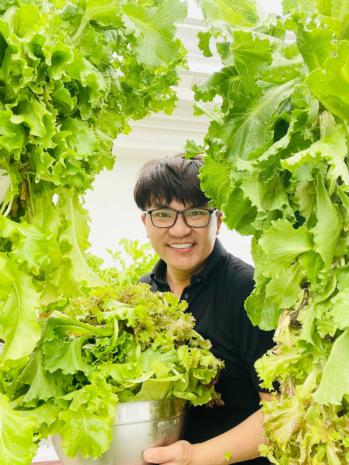 Khu vườn ngập rau xanh trên sân thượng nhà sao nam Việt Khu vuon ngap rau xanh tren san thuong nha sao nam Viet