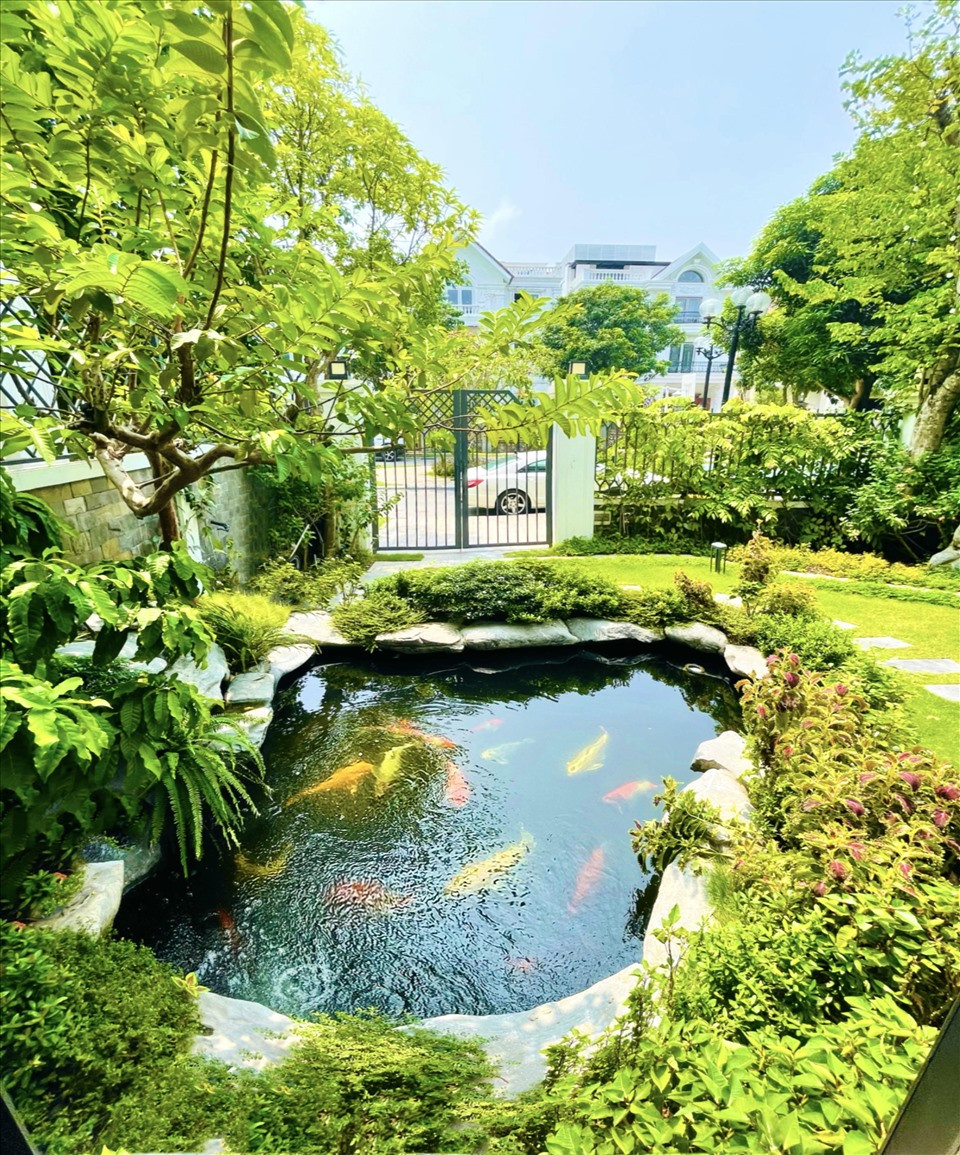 Trong khuôn viên biệt thự, nữ diễn viên trồng nhiều loại hoa khác nhau và thiết kế hồ cá Koi dẹp mắt.