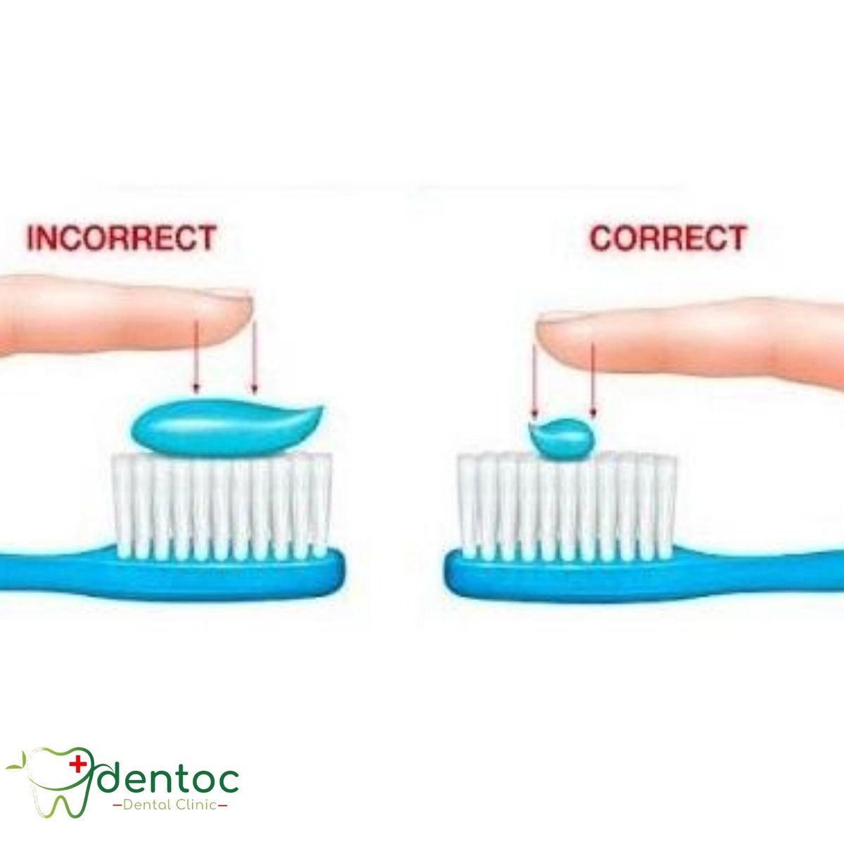 Trên thự tế, các nhà khoa học từ lâu đã chỉ ra rằng chúng ta chỉ cần lượng kem vừa đủ và quan trọng nhất vẫn là cách đánh răng như thế nào.