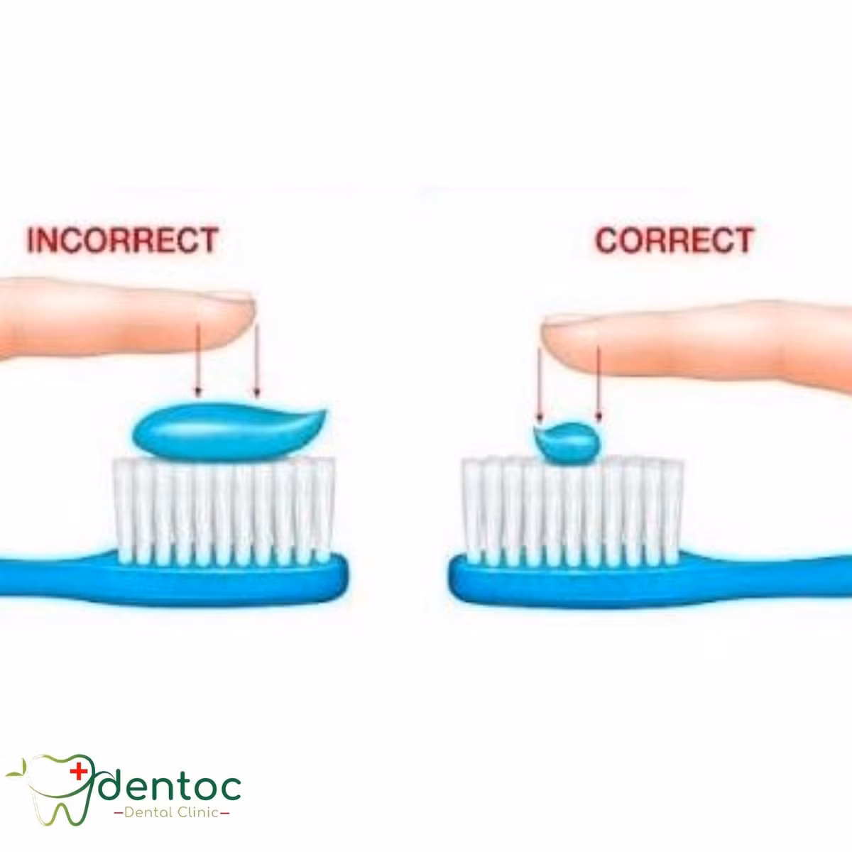 Trên thự tế, các nhà khoa học từ lâu đã chỉ ra rằng chúng ta chỉ cần lượng kem vừa đủ và quan trọng nhất vẫn là cách đánh răng như thế nào.