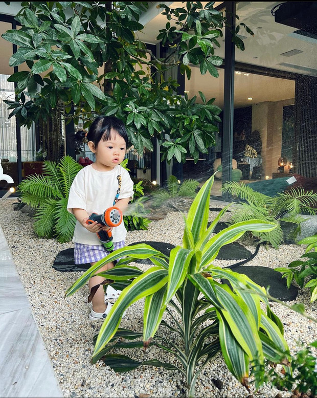 Thông qua loạt ảnh Suchin chăm chỉ tưới cây giúp bố mẹ, ngôi biệt thự bề thế của Cường Đô La - Đàm Thu Trang vô tình được hé lộ. Ảnh: Instagram