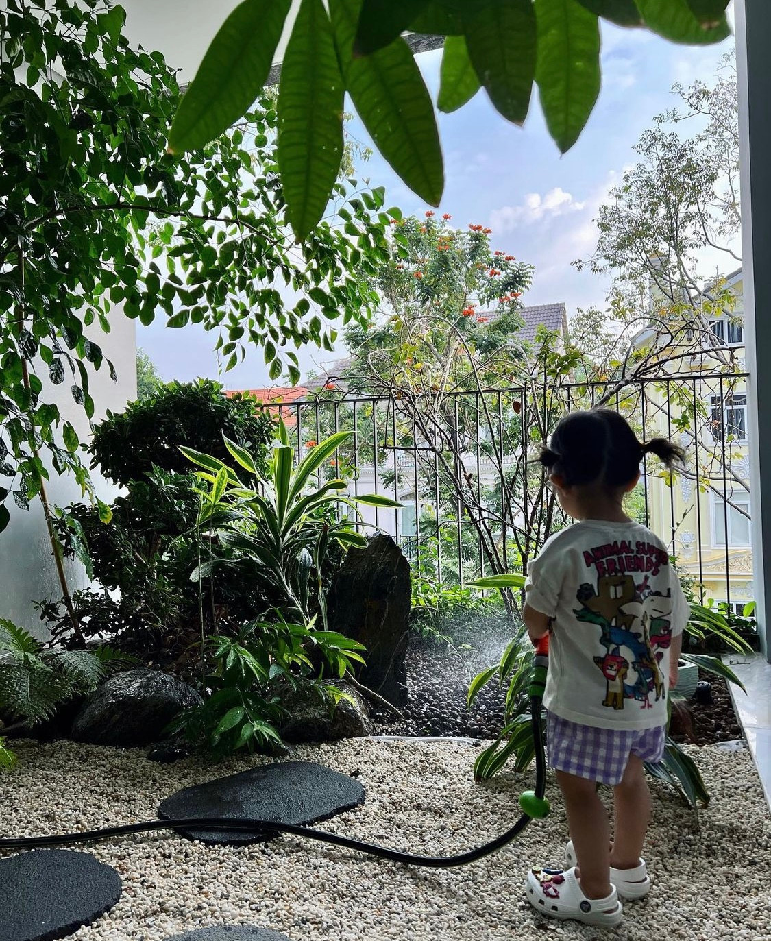 Cây xanh trong nhà vừa giúp tạo cảnh quan đẹp mắt vừa làm sạch không khí. Ảnh: FBNV