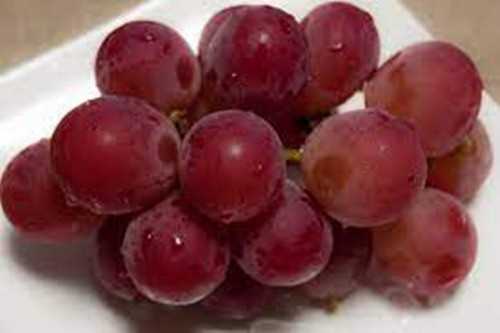 Trên thực tế, nho Ruby Roman rất khó mua. Hầu hết các chùm nho đều có sẵn thông qua các cuộc đấu giá, nhưng Premium Ruby lại cực kỳ khó tìm. Ảnh: Japantimes