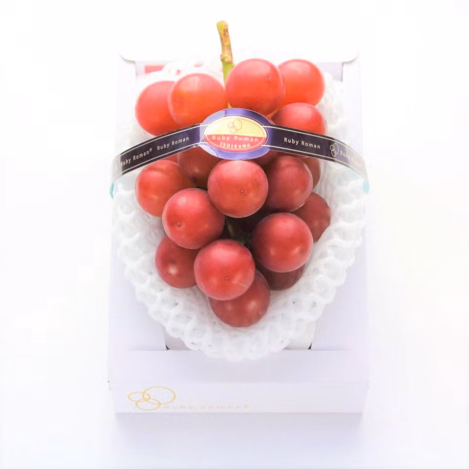 Chẳng hạn như vào năm 2010, chỉ có 6 chùm nho được chứng nhận cao cấp và năm 2011 không có chùm nào đủ tiêu chuẩn cho nhãn cao cấp. Ảnh: Japantimes