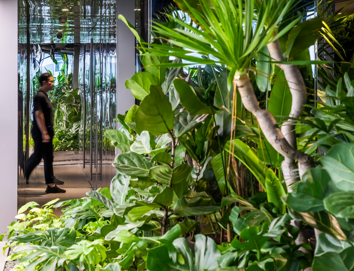 Khu vườn không chỉ có chức năng tạo sự riêng tư giữa các công trình xung quanh mà còn giúp điều tiết ánh sáng mặt trời ban ngày chiếu thẳng vào văn phòng.