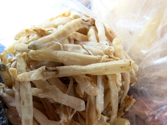 Sá sùng được lộn ruột, rửa sạch cát rồi sấy bằng than tổ ong trong nhiều giờ tới khi khô, có màu phấn trắng nhẹ. Ảnh: Infonet