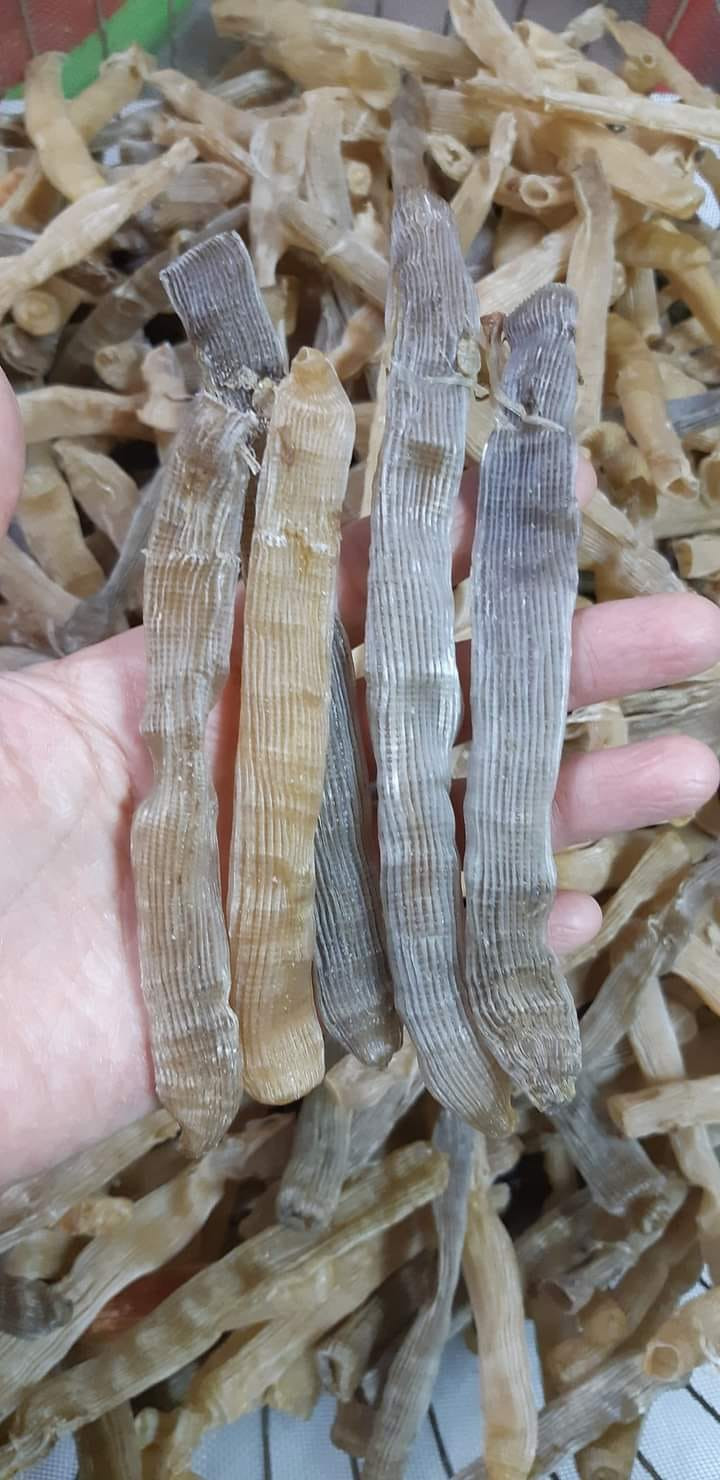 Trên thị trường, sá sùng sấy khô được bán với giá dao động từ 2 - 2,5 triệu đồng/kg. Sá sùng thượng hạng được ví "đắt như vàng", bởi giá thành có thể lên đến 4 - 5 triệu đồng/kg. Ảnh: Facebook