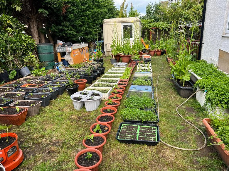 Để đối phó với thời tiết giá lạnh ở xứ sở sương mù, anh Vinh làm vườn theo mô hình di động. Anh sử dụng toàn bộ thùng, chậu để trồng cây.