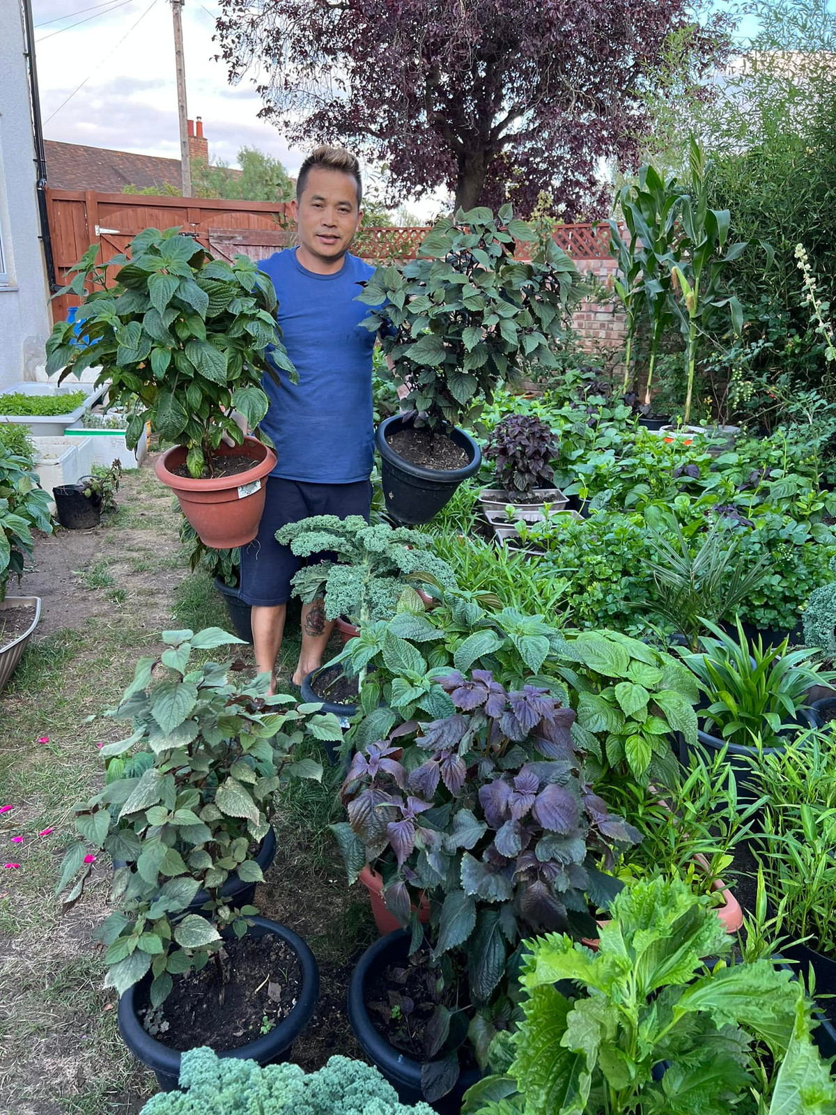 Đặc biệt, các thùng chậu không đục lỗ để dễ di chuyển rau vào nhà bếp, hay ga-ra xe khi trời lạnh hoặc mưa gió.