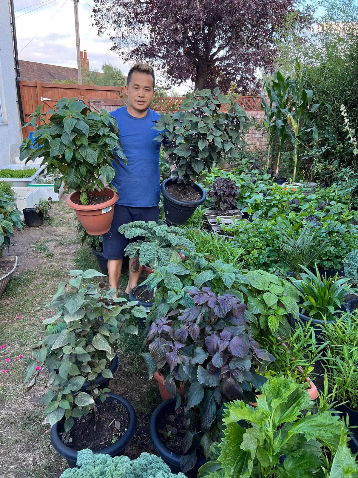 Đặc biệt, các thùng chậu không đục lỗ để dễ di chuyển rau vào nhà bếp, hay ga-ra xe khi trời lạnh hoặc mưa gió.