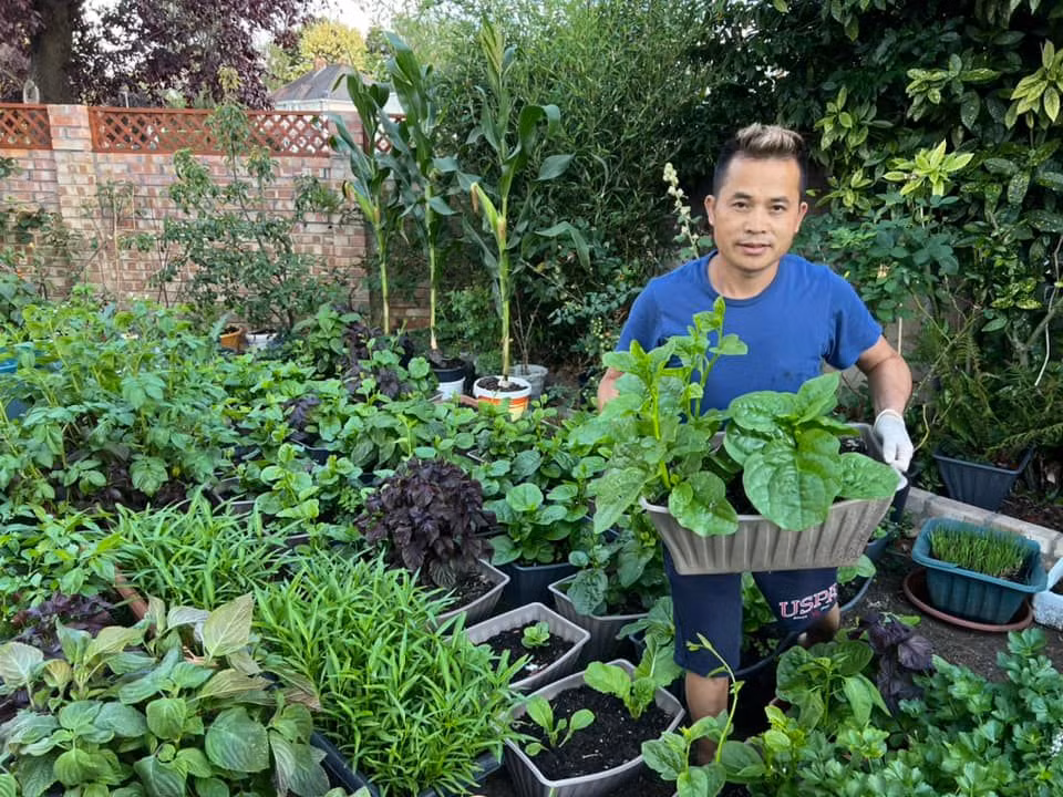 Để tiết kiệm chi phí, anh tự tay thiết kế và thi công vườn rau. Anh tận dụng các loại gỗ thừa để đóng bếp di động tại vuòn và các kệ trồng rau