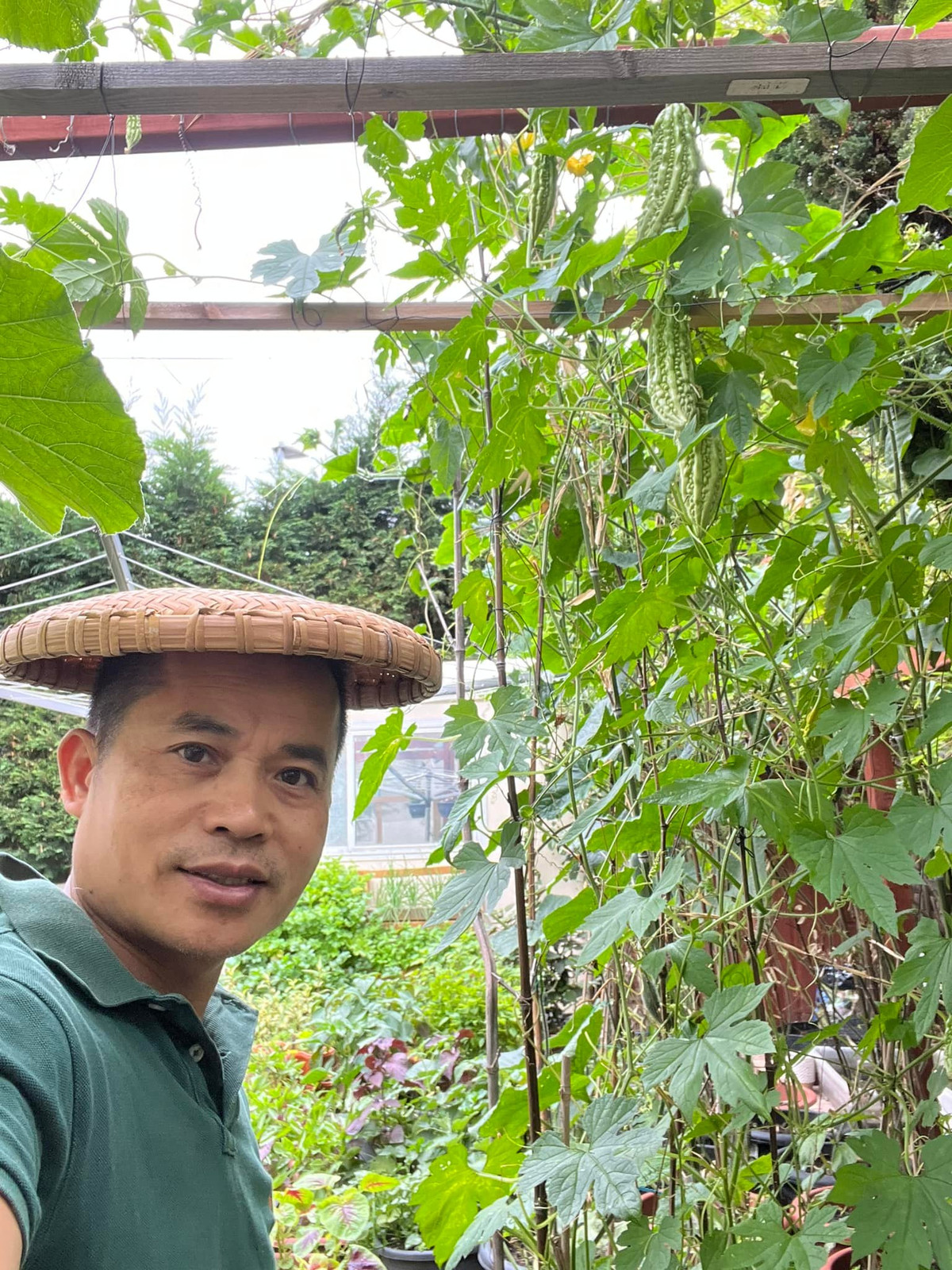 Với hơn 100 loại rau và 500 thùng di động, anh Vinh gần như không phải đi chợ mua rau.