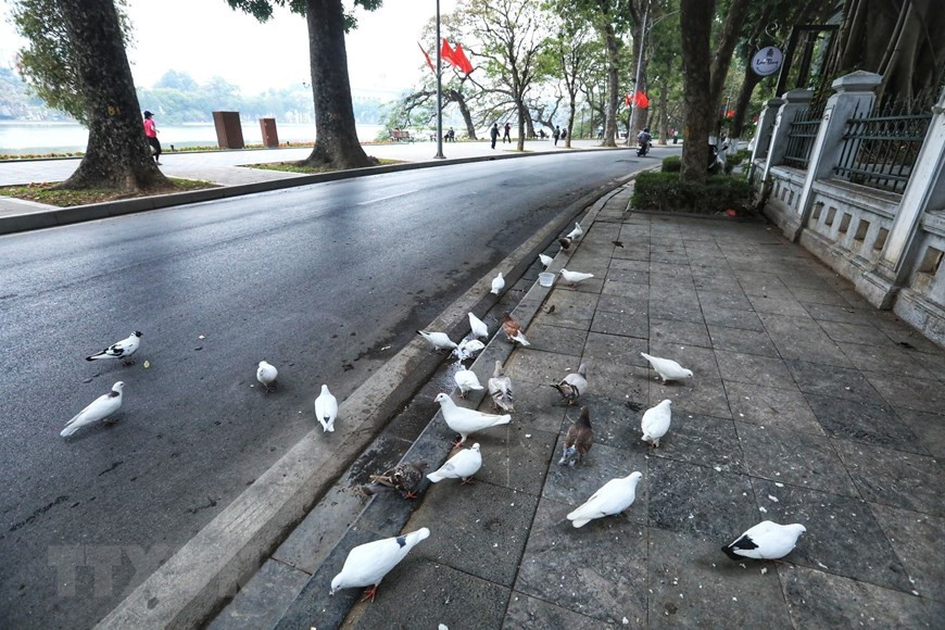 Cảnh bình yên ngày đầu năm trên hồ Hoàn Kiếm. (Ảnh: Tuấn Anh/TTXVN)