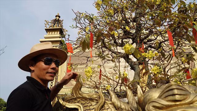 Đây là kỷ lục thế giới hiếm hoi ở Việt Nam về lĩnh vực cây cảnh. Ảnh: Lao động