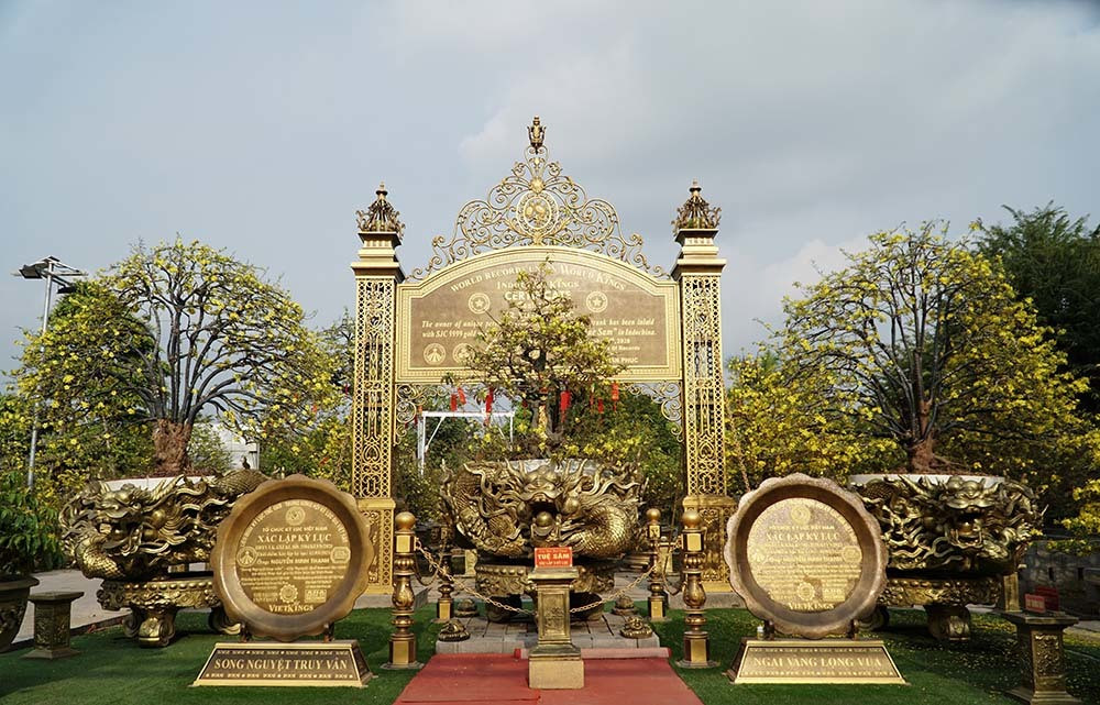 Theo đó, 10 cây mai vàng của ông Vũ Đức Đông (sinh năm 1972) ngụ phường An Hòa, thành phố Sa Đéc, tỉnh Đồng Tháp vừa được Tổ chức Kỷ lục thế giới công nhận xác lập kỷ lục thế giới “Bộ sưu tập mai vàng Tuệ Sâm có nhiều tác phẩm độc bản nhất”. Ảnh: Vietnamnet