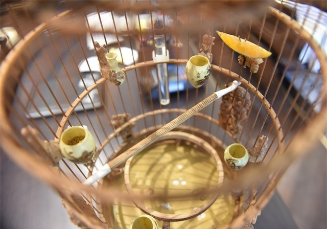 Không chỉ tốn cả chục tỷ mua chim đột biến, vị đại gia Hà thành còn đầu tư khoảng 10 tỷ đồng mua lồng chim. Ảnh: FBNV