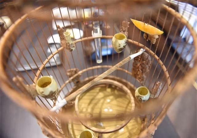 Không chỉ tốn cả chục tỷ mua chim đột biến, vị đại gia Hà thành còn đầu tư khoảng 10 tỷ đồng mua lồng chim. Ảnh: FBNV