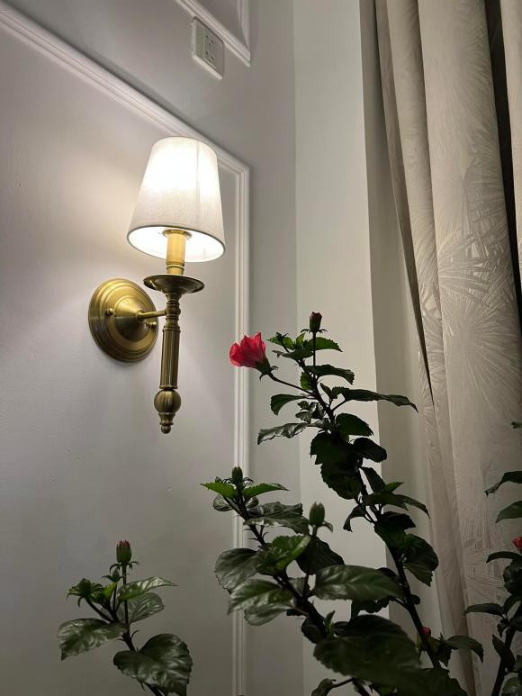 Căn hộ rộng 168m2 với 2 phòng ngủ, 1 phòng thay đồ. Không gian bên trong căn hộ có màu trắng làm màu chủ đạo và trồng nhiều cây xanh. Ảnh: FBNV