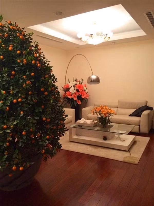 Khi lấy vợ, Tuấn Hưng chuyển đến một khu căn hộ cao cấp, nổi tiếng xa hoa, đắt đỏ bậc nhất Hà thành. Ảnh: Internet