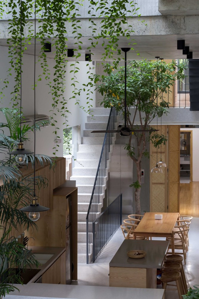 Thiết kế này giúp không gian được mở một cách hợp lý và mang lại cảm giác rộng rãi bất ngờ dù chiều rộng có hạn.