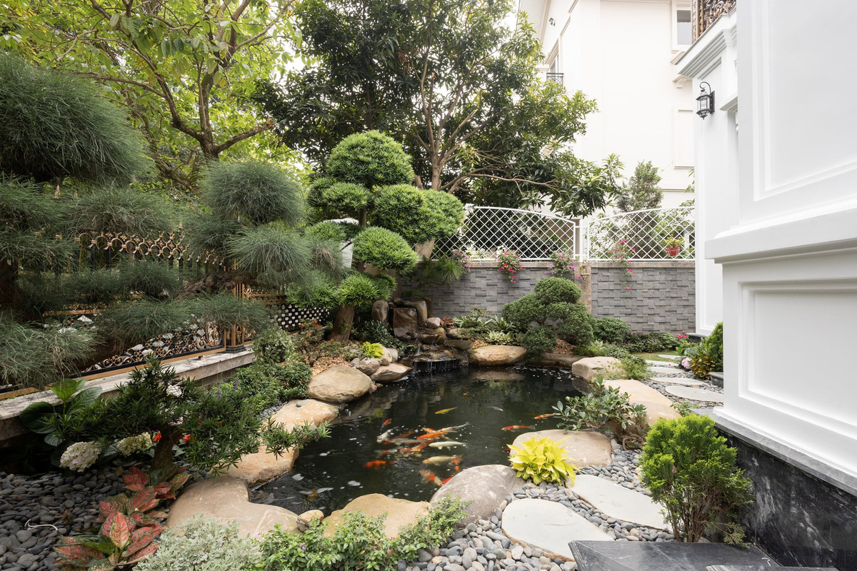 Sân trước của căn biệt thự là không gian rộng lớn, hồ cá Koi đẹp mắt và rất nhiều cây xanh.