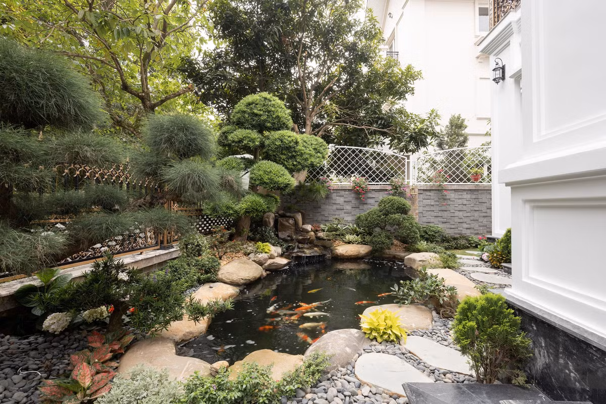 Sân trước của căn biệt thự là không gian rộng lớn, hồ cá Koi đẹp mắt và rất nhiều cây xanh.