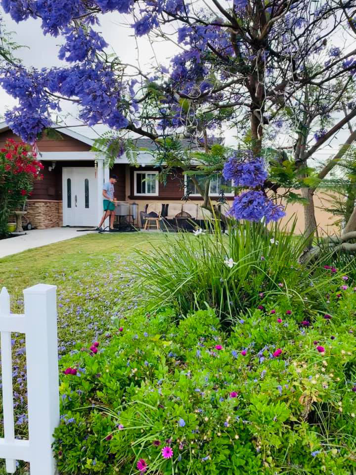 Biệt thự của Ngọc Anh khá rộng rãi với nhiều cỏ cây, hoa lá bao quanh.