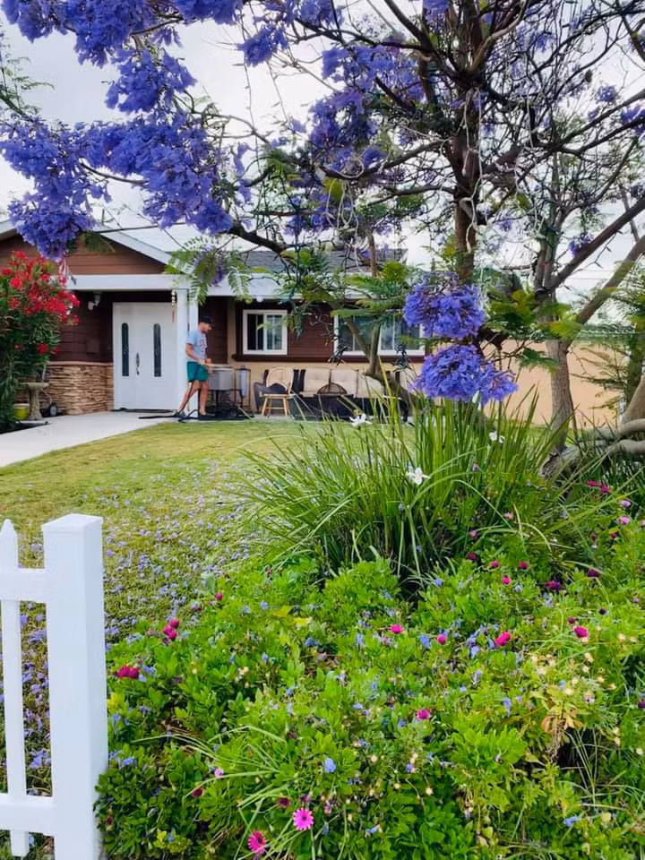 Biệt thự của Ngọc Anh khá rộng rãi với nhiều cỏ cây, hoa lá bao quanh.