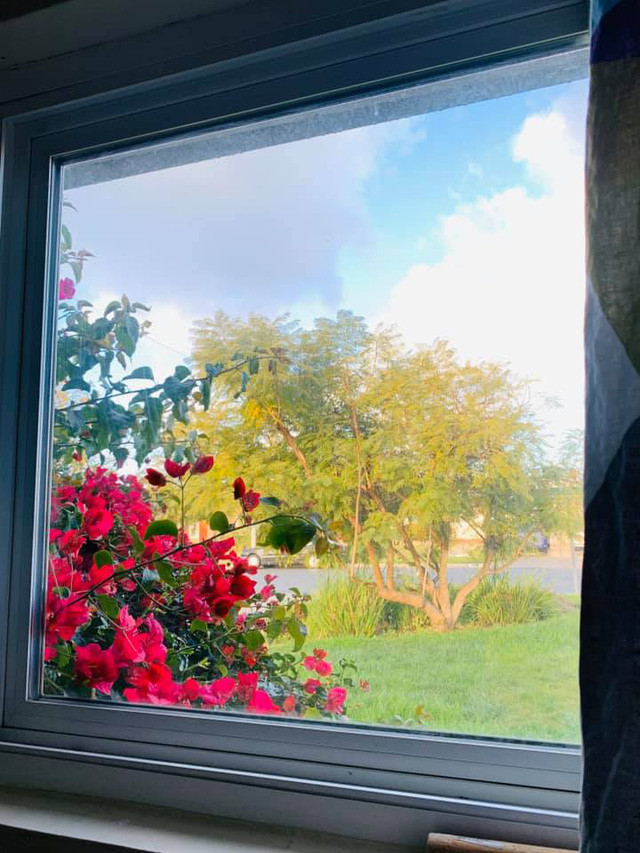 Trong nhà Ngọc Anh có nhiều cửa sổ lấy ánh sáng. Xung quanh nhà được Ngọc Anh 3A trồng khá nhiều hoa.