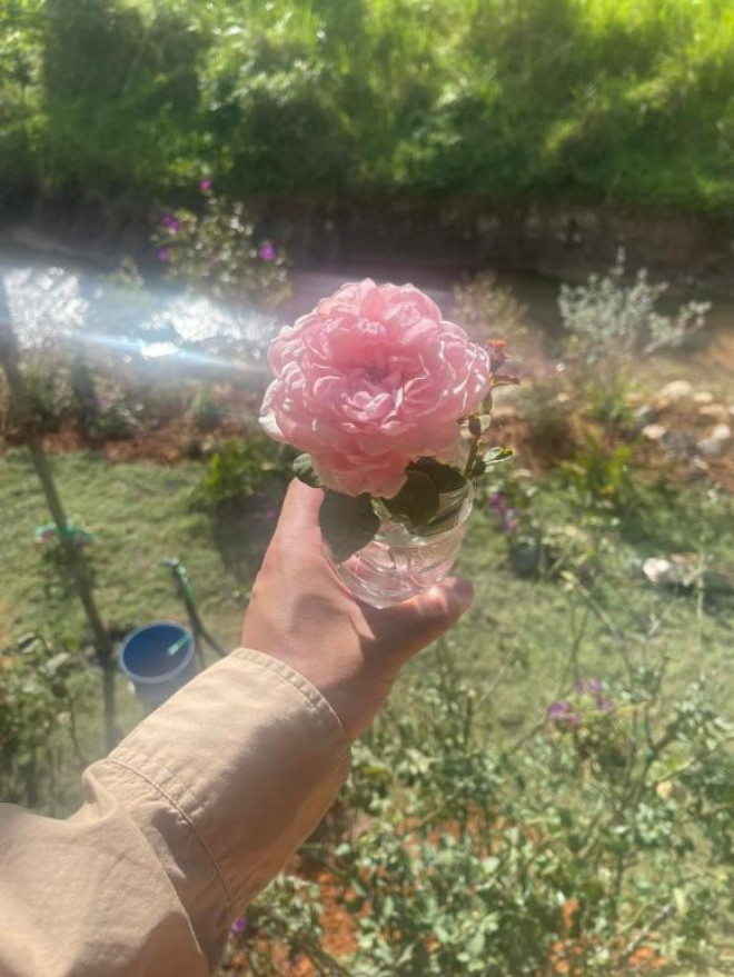 Hoa tươi là niềm yêu thích của thiếu gia họ Lý Quí. Nguồn ảnh; FB Lý Quí Khánh