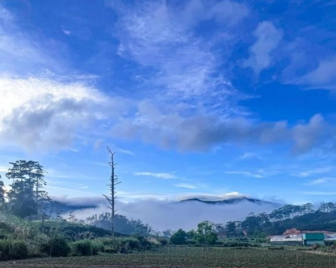 Theo Lý Quí Khánh, khu vườn này dự kiến một năm mới có thể hoàn thiện mọi thứ.