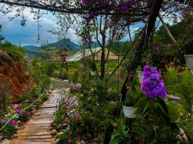 Chòi nhỏ nên thơ lọt thỏm giữa rừng hoa.