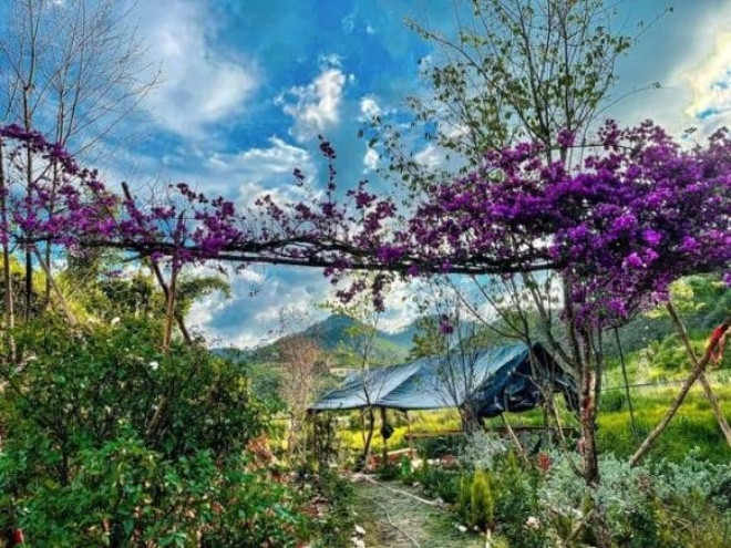 Dù vậy, nhiều khán giả vẫn dành lời khen bởi vị trí đẹp và không gian thoáng đãng.