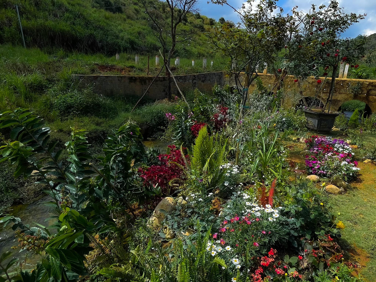 Nhìn qua cũng đủ thấy khu vườn rất rộng lớn.