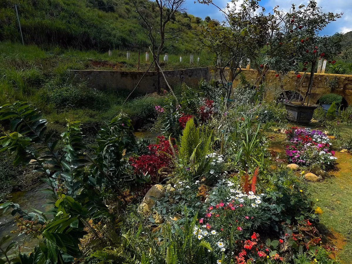 Nhìn qua cũng đủ thấy khu vườn rất rộng lớn.