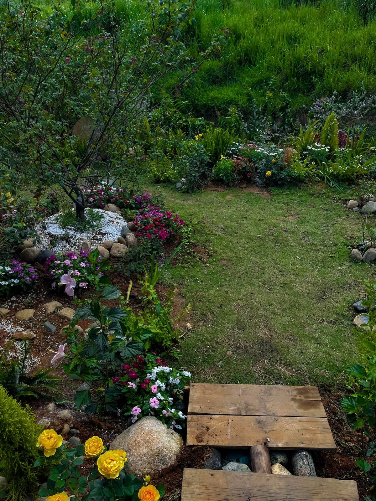 Trên trang cá nhân, Lý Quí Khánh cho biết 4 tháng vừa qua, anh dành nhiều thời gian, tâm huyết để chăm sóc khu vườn của mình ở Đà Lạt.