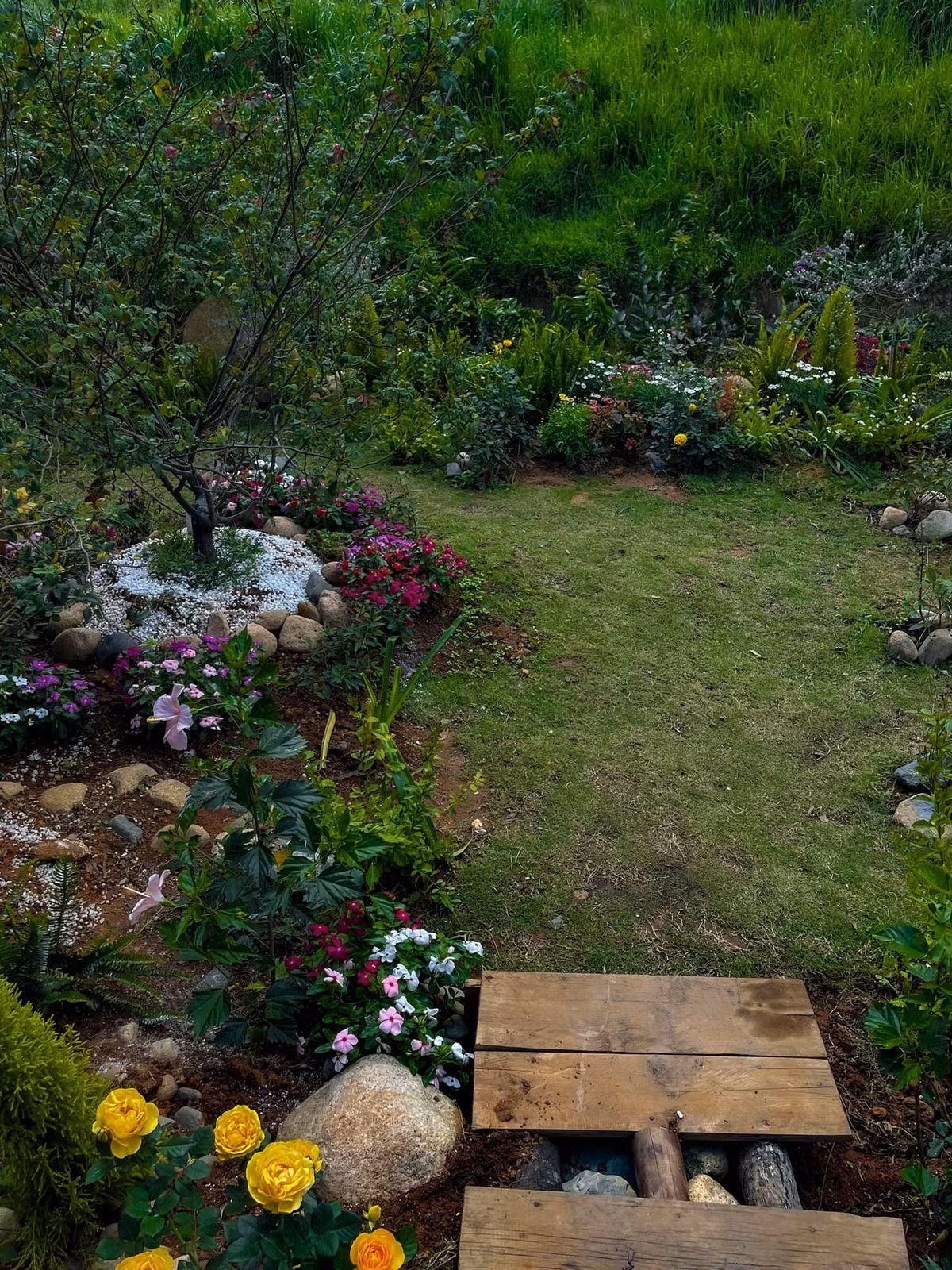 Trên trang cá nhân, Lý Quí Khánh cho biết 4 tháng vừa qua, anh dành nhiều thời gian, tâm huyết để chăm sóc khu vườn của mình ở Đà Lạt.