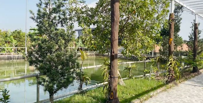 Ngoài căn nhà chính để ở, điền trang rộng lớn của mẹ Vương Phạm cũng thu hút sự chú ý của nhiều người. Ảnh: YouTube Vương Phạm