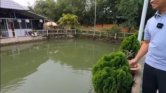 Bên trong trang trại, mẹ Vương Phạm cũng cho người đào ao nuôi cá, xây thêm các mái chòi để nghỉ mát và trồng rất nhiều cây trái. Ảnh: YouTube Vương Phạm