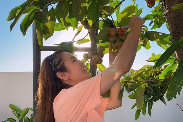 Khu vườn được người đẹp chăm sóc tự nhiên, không thuốc hóa học. Ảnh; FBNV