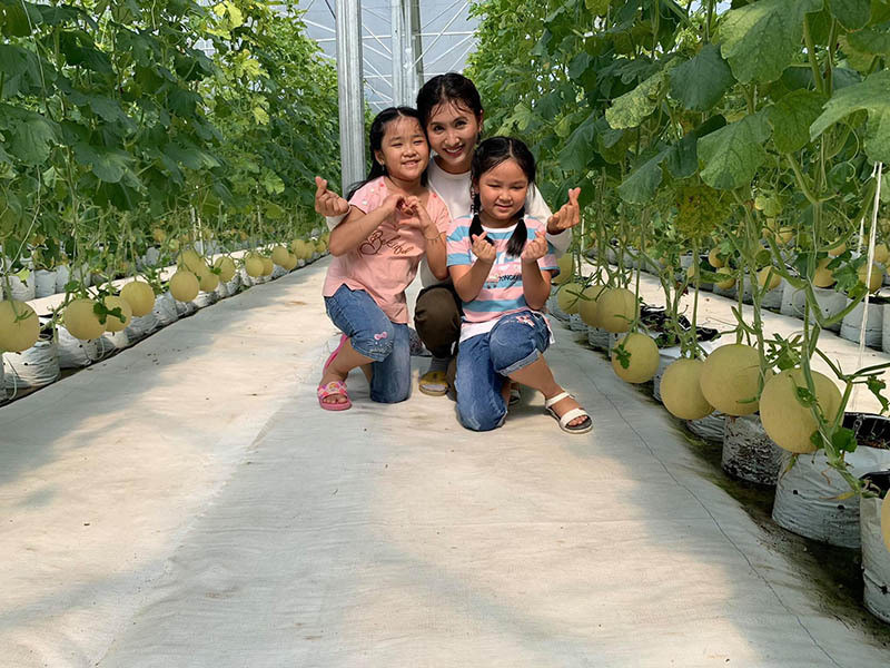 Bên cạnh đó, diễn viên Nguyệt Ánh khiến nhiều người trầm trồ khi khoe vườn nông trại trồng dưa trĩu quả của mình. Ảnh: Vietnamnet