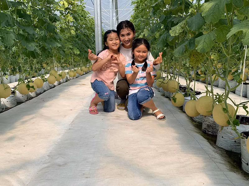 Bên cạnh đó, diễn viên Nguyệt Ánh khiến nhiều người trầm trồ khi khoe vườn nông trại trồng dưa trĩu quả của mình. Ảnh: Vietnamnet