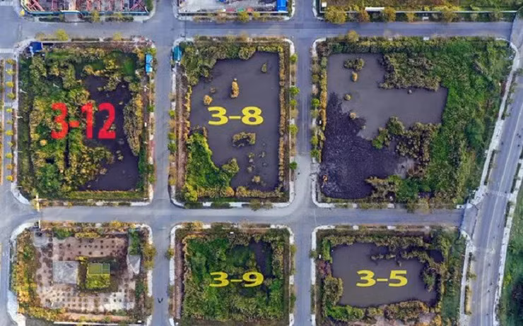 Biet gi ve cong ty Binh Minh bo coc dau gia dat Thu Thiem?