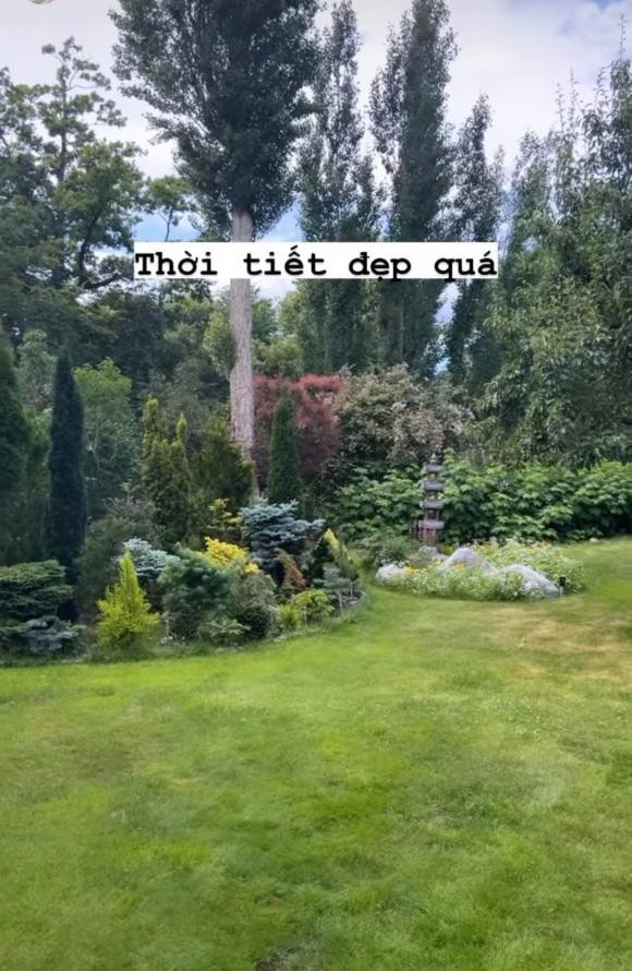 Cây xanh và thảm cỏ tốt um.