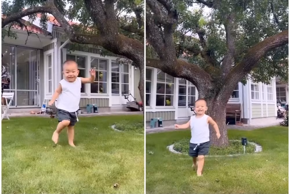 Toàn bộ cơ ngơi có diện tích thoáng đãng, rộng rãi như một công viên thu nhỏ.